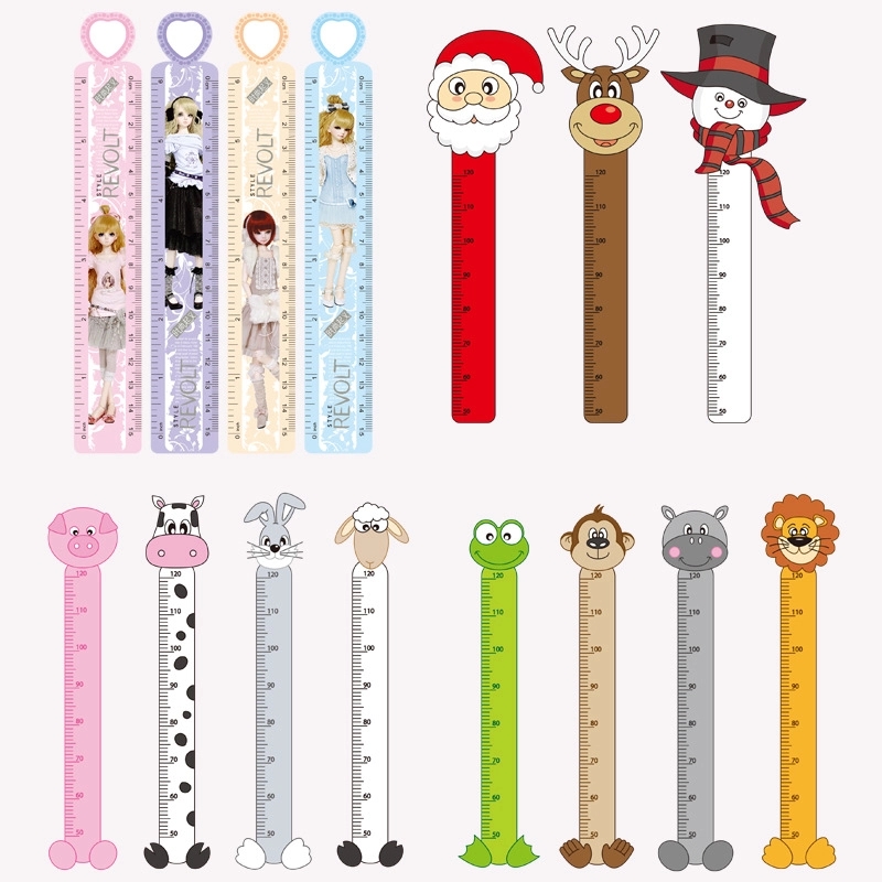 Customized PVC Ruler 1
