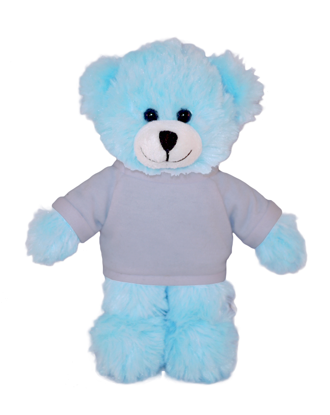 Blue Bear with Tee 4