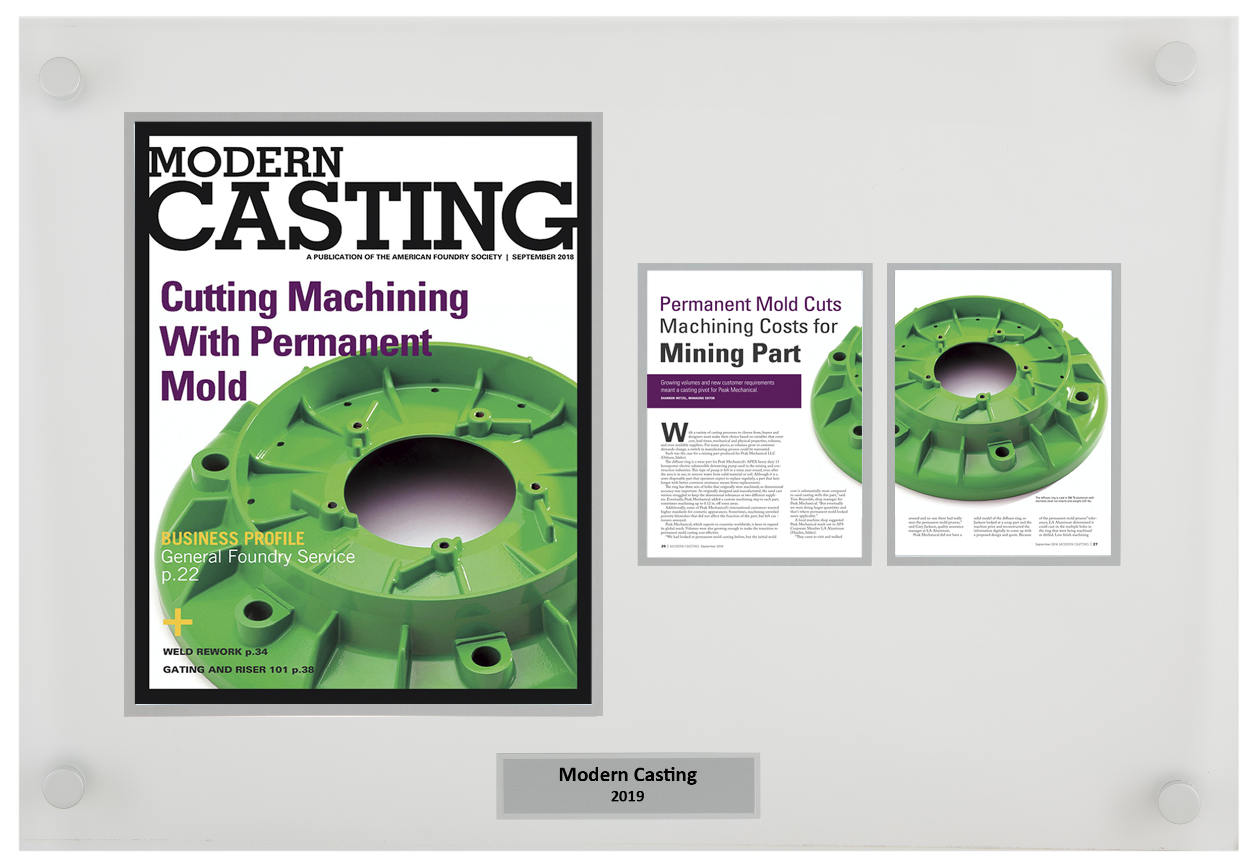 Celebrity Media Award Plaque