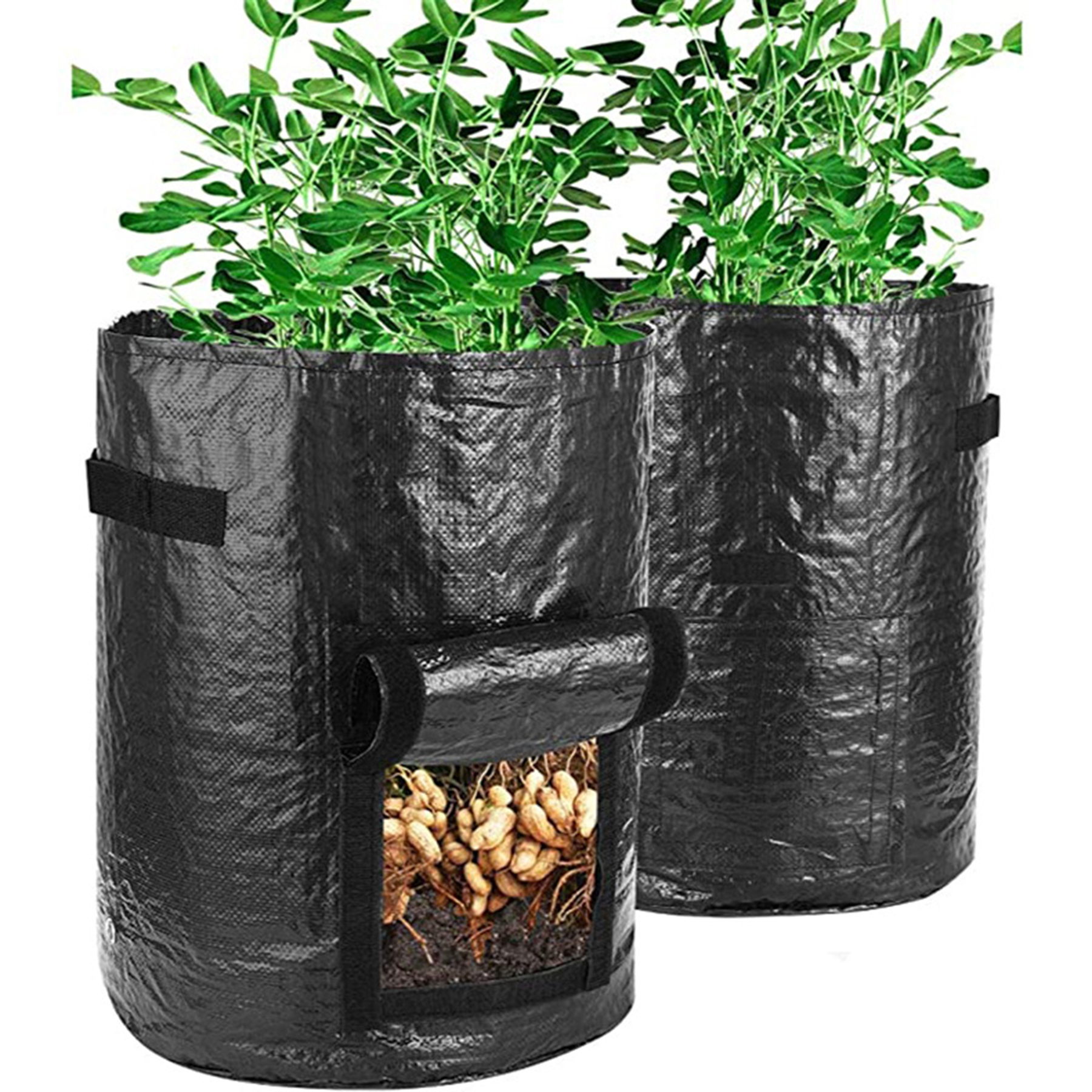 5 Gallons Non-woven Potato Vegetable Grow Bag 5