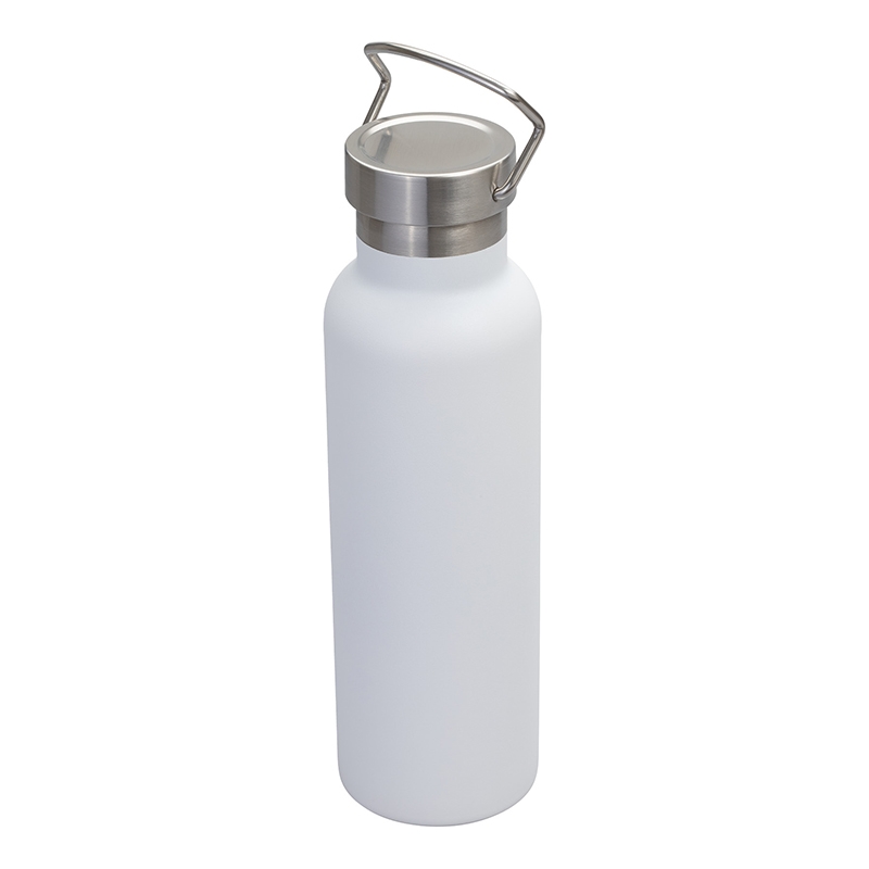 Splendid 22 oz. Double Wall Stainless Steel Bottle 13