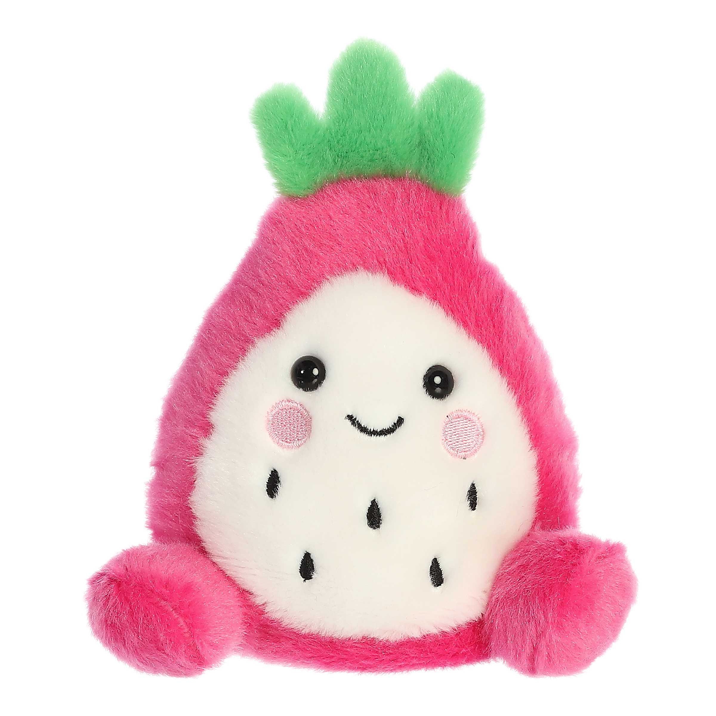 5" Bean Bag Dragon Fruit 2