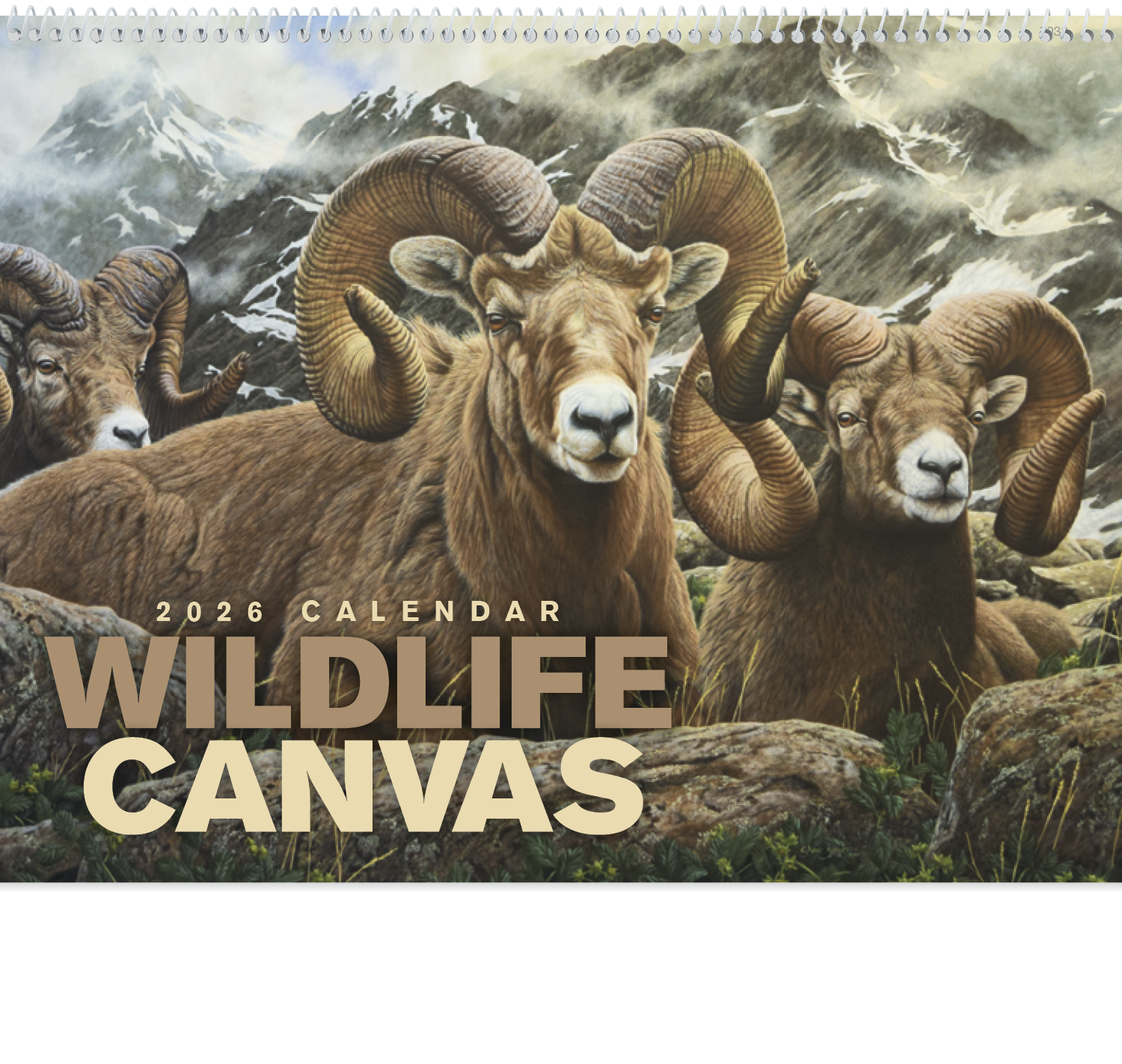 Good Value™ Wildlife Canvas - Spiral Calendar 6