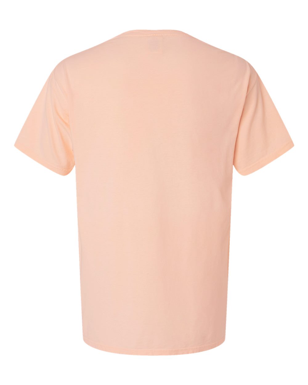 Unisex Botanical Dyed T-Shirt - GDH11B 11