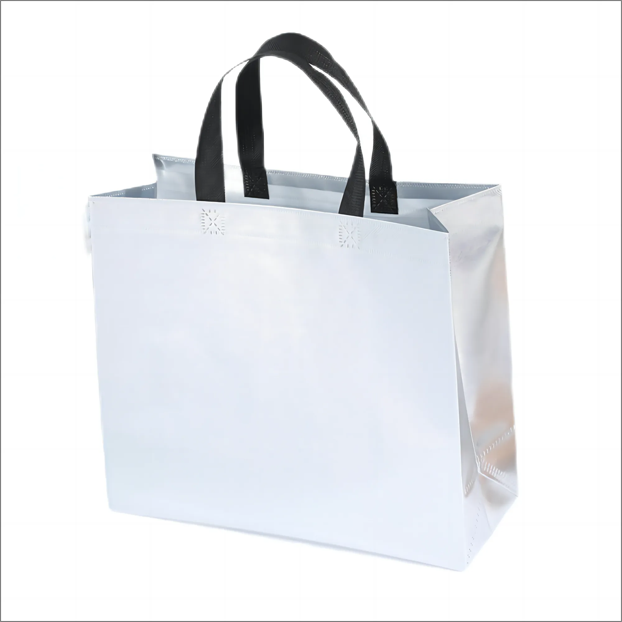 Non Woven Bag 3