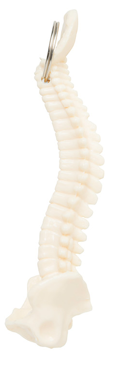 Spine Keyring 2