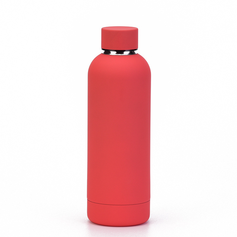 Stainless Steel Water Bottle 1