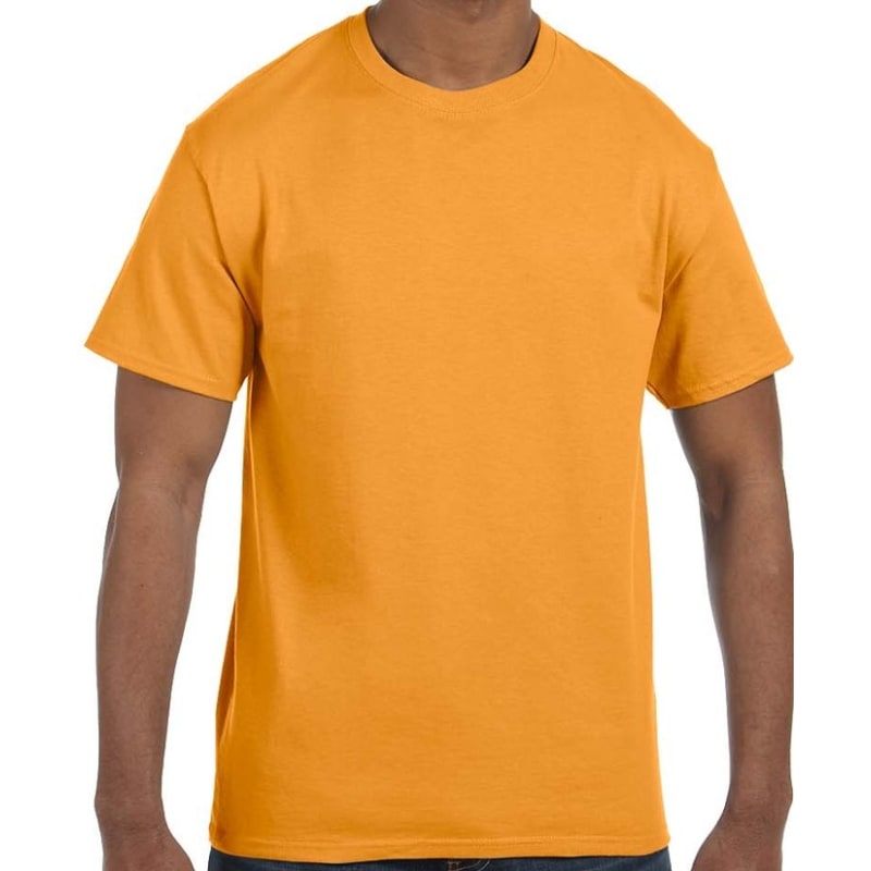 Hanes Men's Authentic-T T-Shirt 2