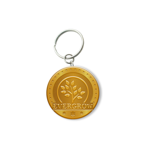 Customized Zinc Alloy Keychain with Shiny Gold Plating 4