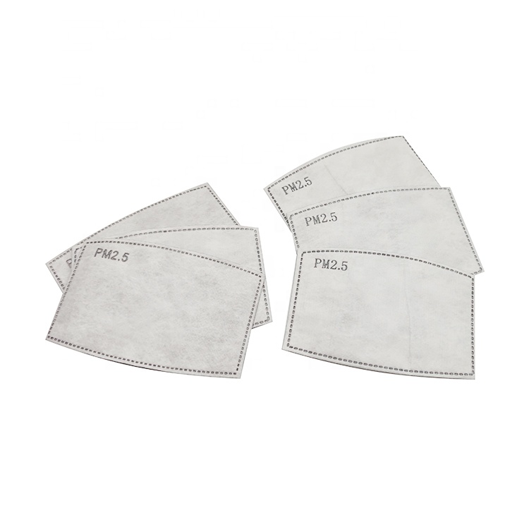 PM Filter 2.5 2