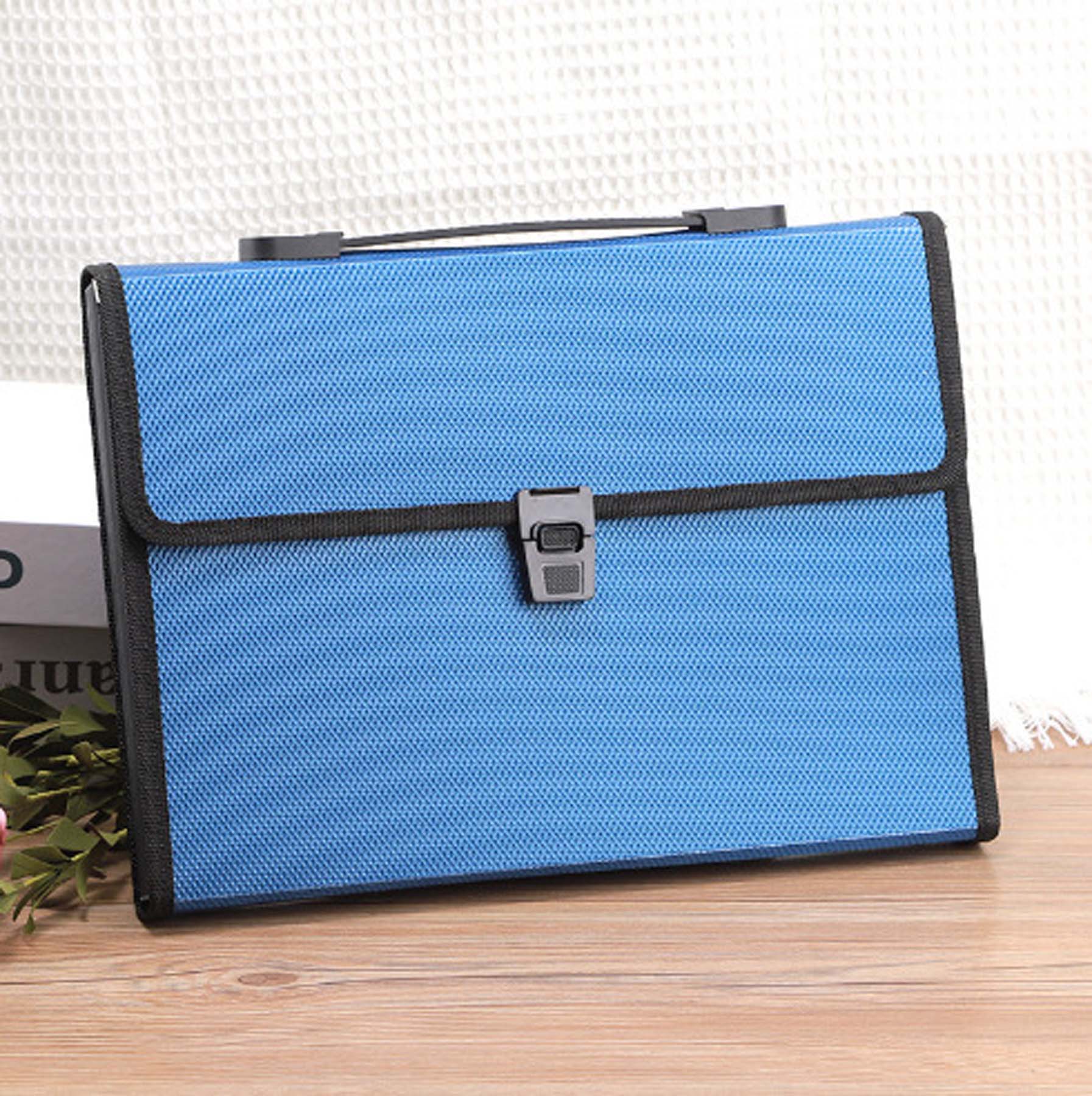 Expandable A4 Document Organizer with 13 Pockets 1