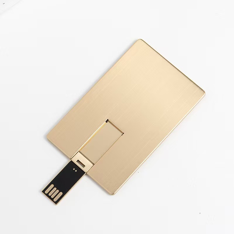 8GB Secure Card Drive 2