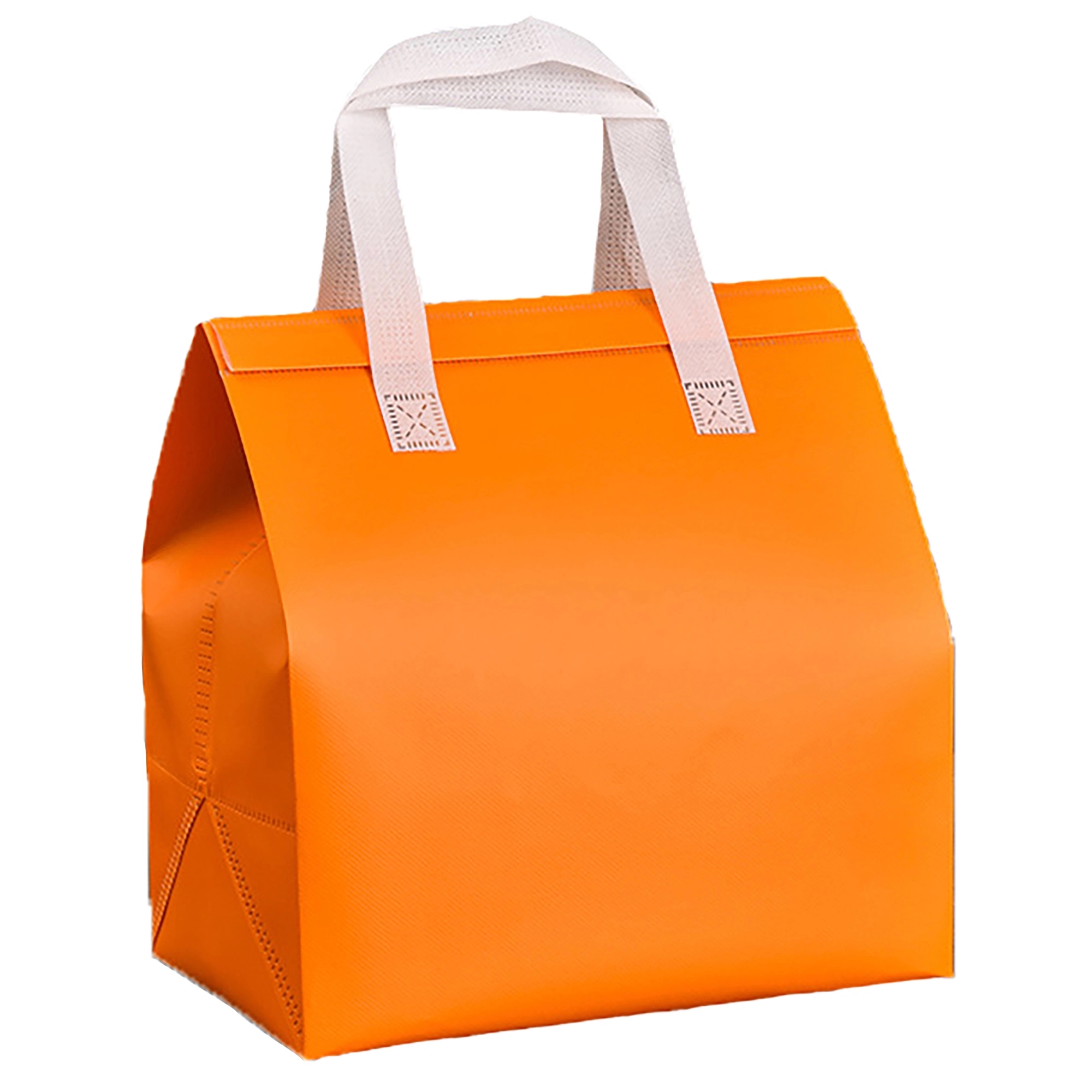 MOQ 50pcs Disposable Non-Woven Insulation Bag 6