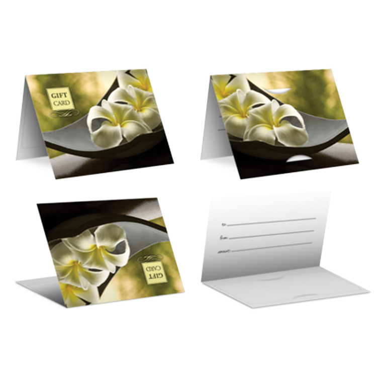 Pre-printed Plastic Card Carrier 14