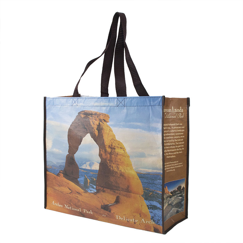 Eco friendly Reusable PET Grocery bags 2