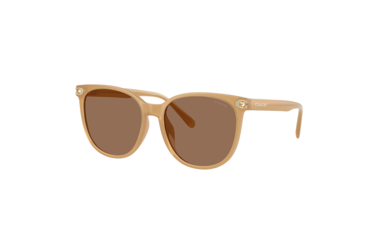 Coach Women's Embedded Signature Round Sunglasses 2