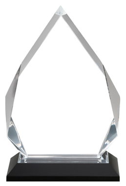 8 3/4" x 5 1/4" Clear Silver Diamond Acrylic Award 2