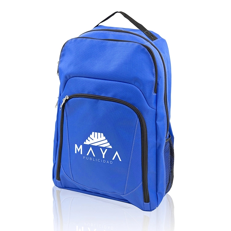 BRINGHAM BACKPACK 2