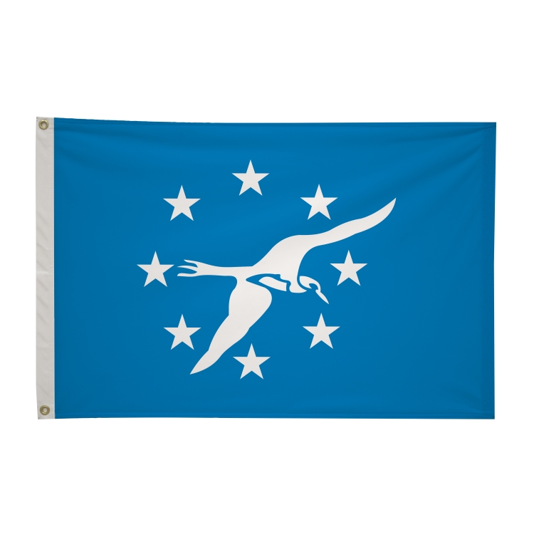 2' x 3' City Flags 42