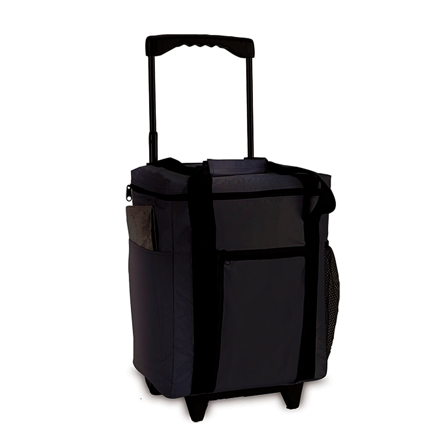 Rolling Cooler 3