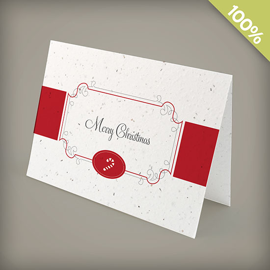 Candy Cane Personalized Christmas Seed Cards 2