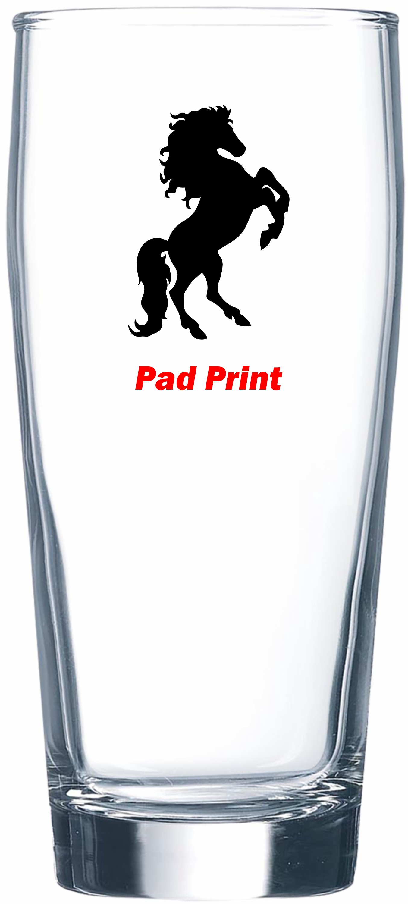 Polar Camel 16 oz Willi Becher Beer Glass - Dishwasher Resistant - MADE IN THE USA