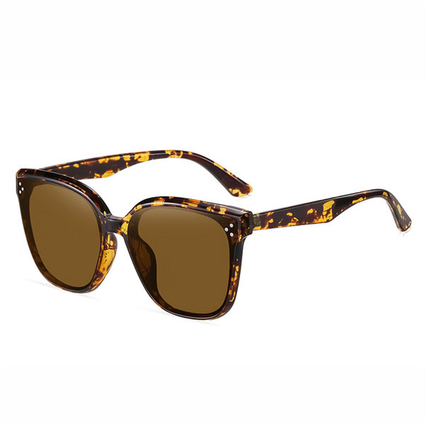 Regular Sunglasses 1