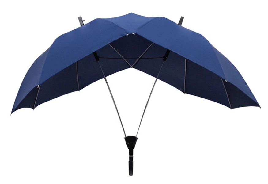 Large Umbrella 2