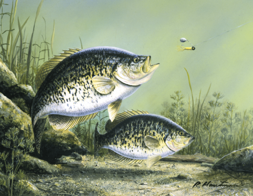 Triumph® Calendars Wildlife Art by the Hautman Brothers Calendar 73