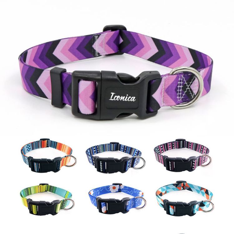 Dog Collar 2