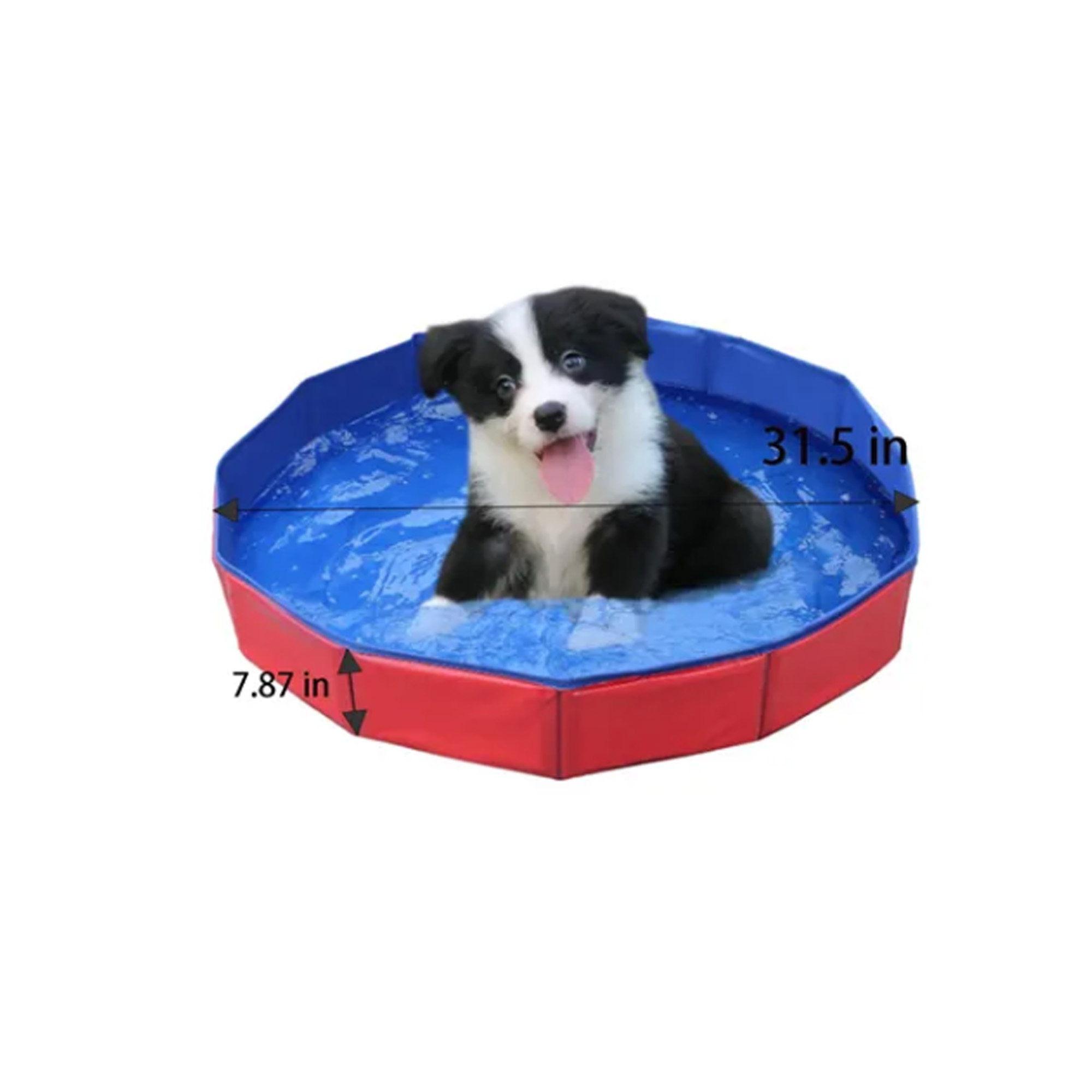 Collapsible Pet Dog Bathing Pool 2