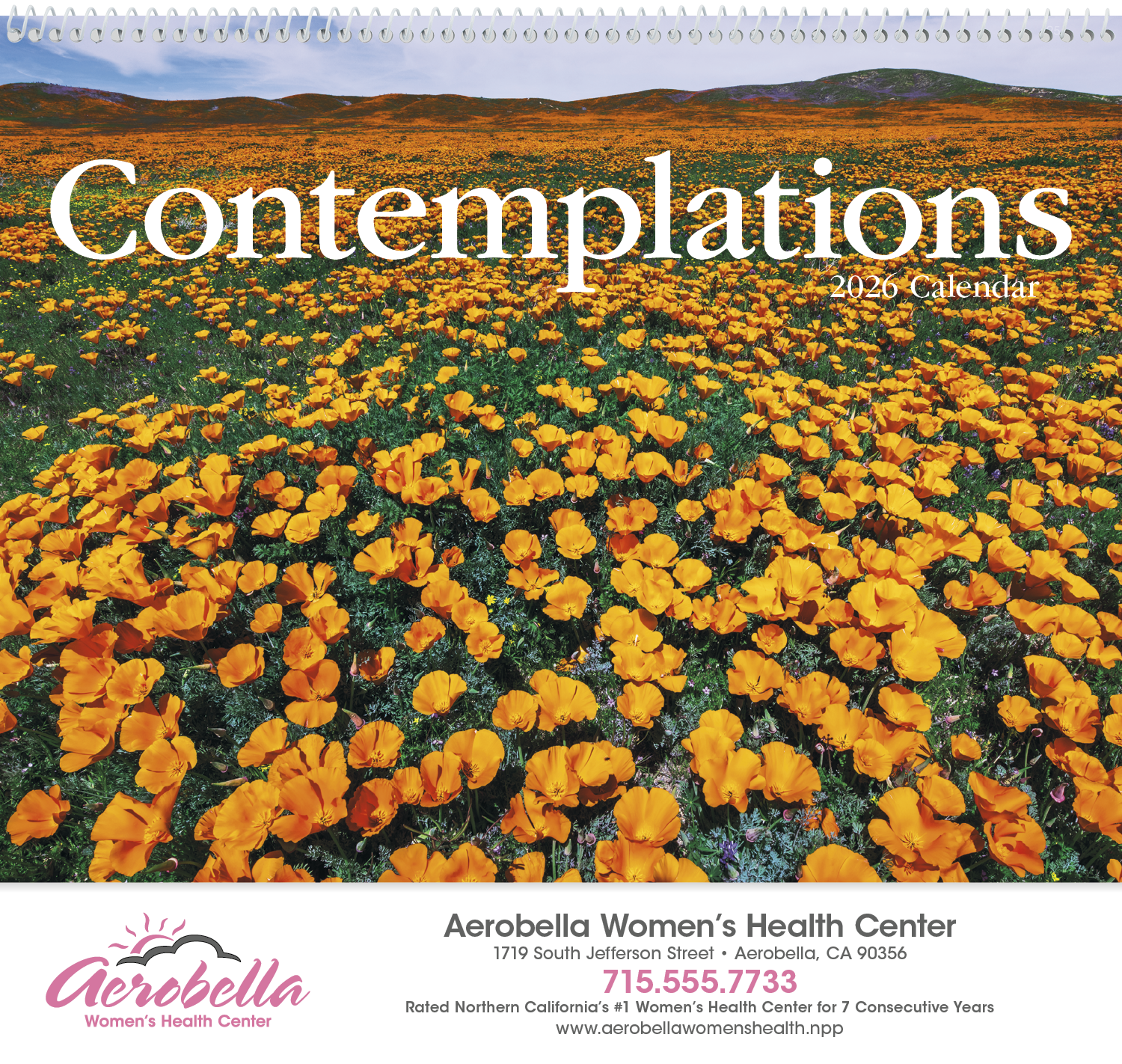 HotLine® Products Contemplations Appointment Calendar - Spiral 31
