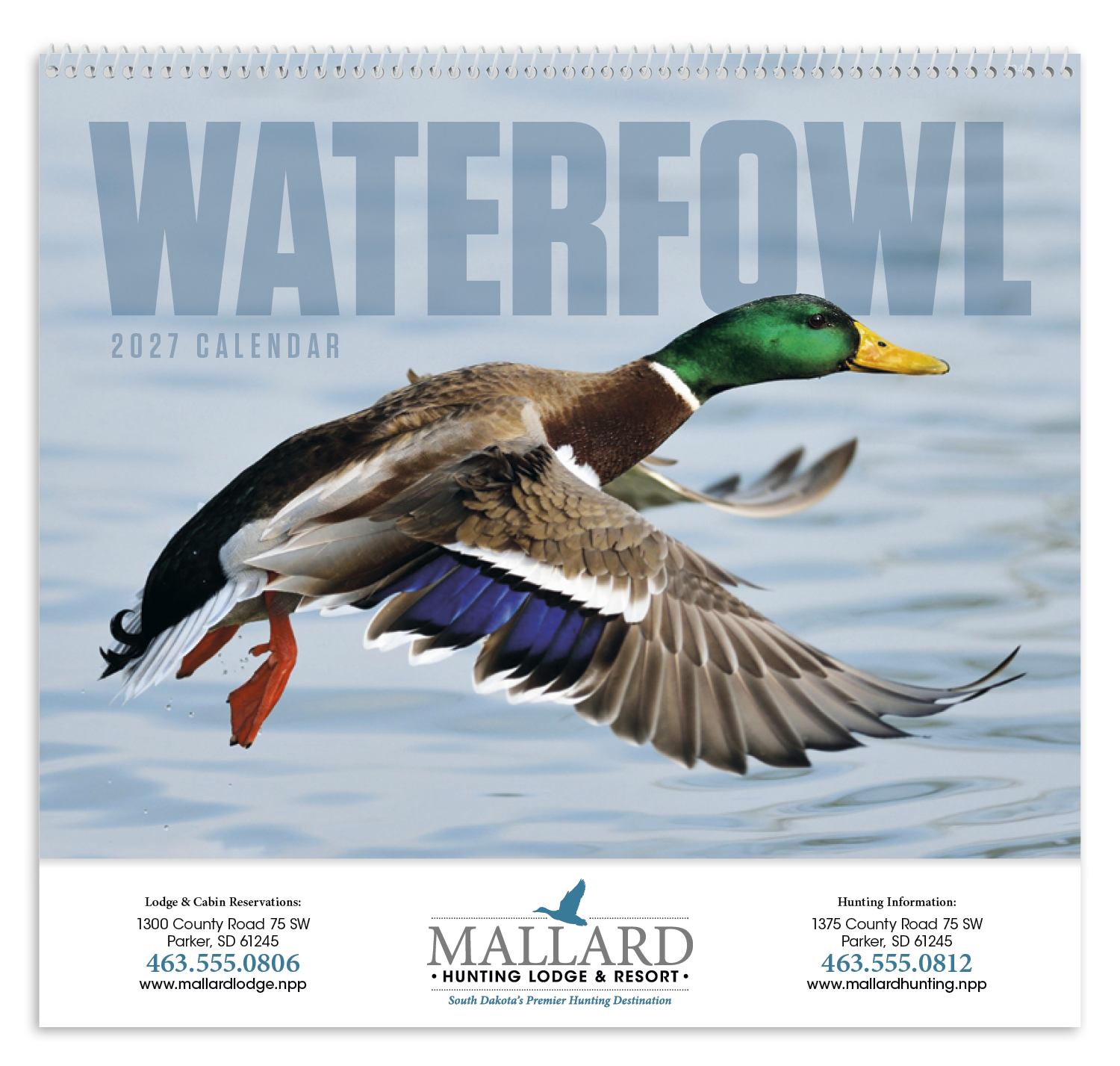Good Value™ Waterfowl - Spiral Calendar 40