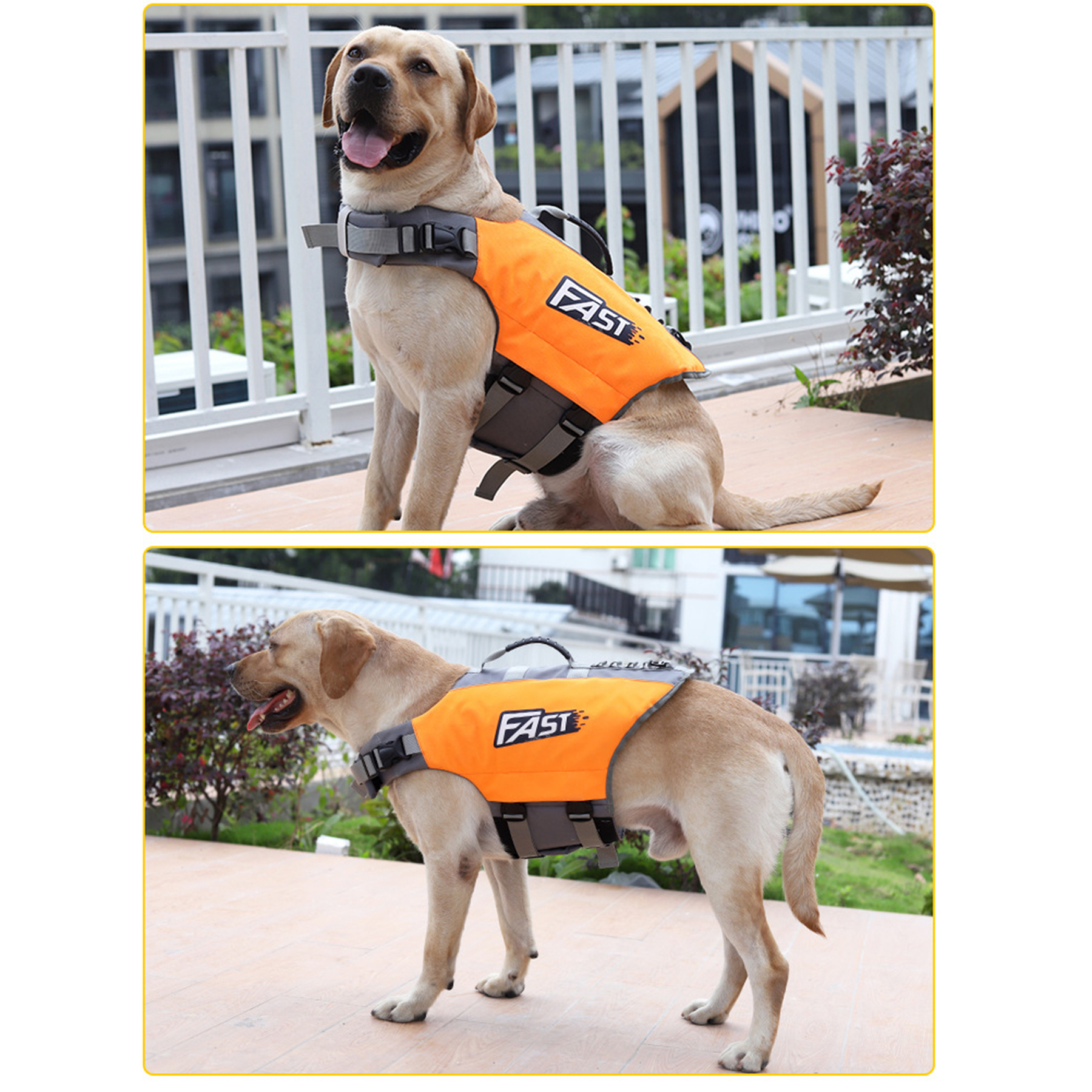 Adjustable Dog Life Jacket 3