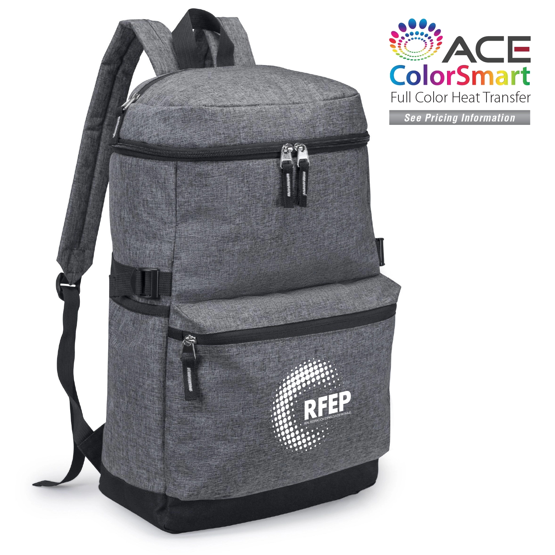 Magna Computer Backpack 1