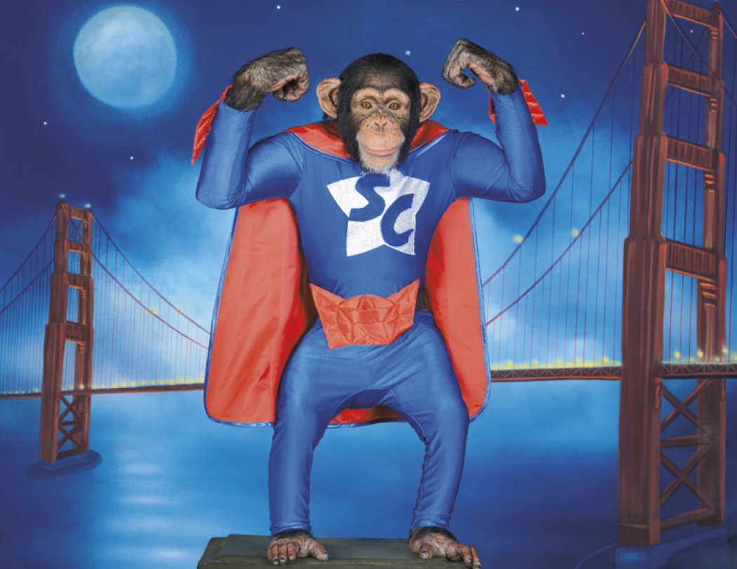 Good Value™ Monkey Mischief - Stapled Calendar 31