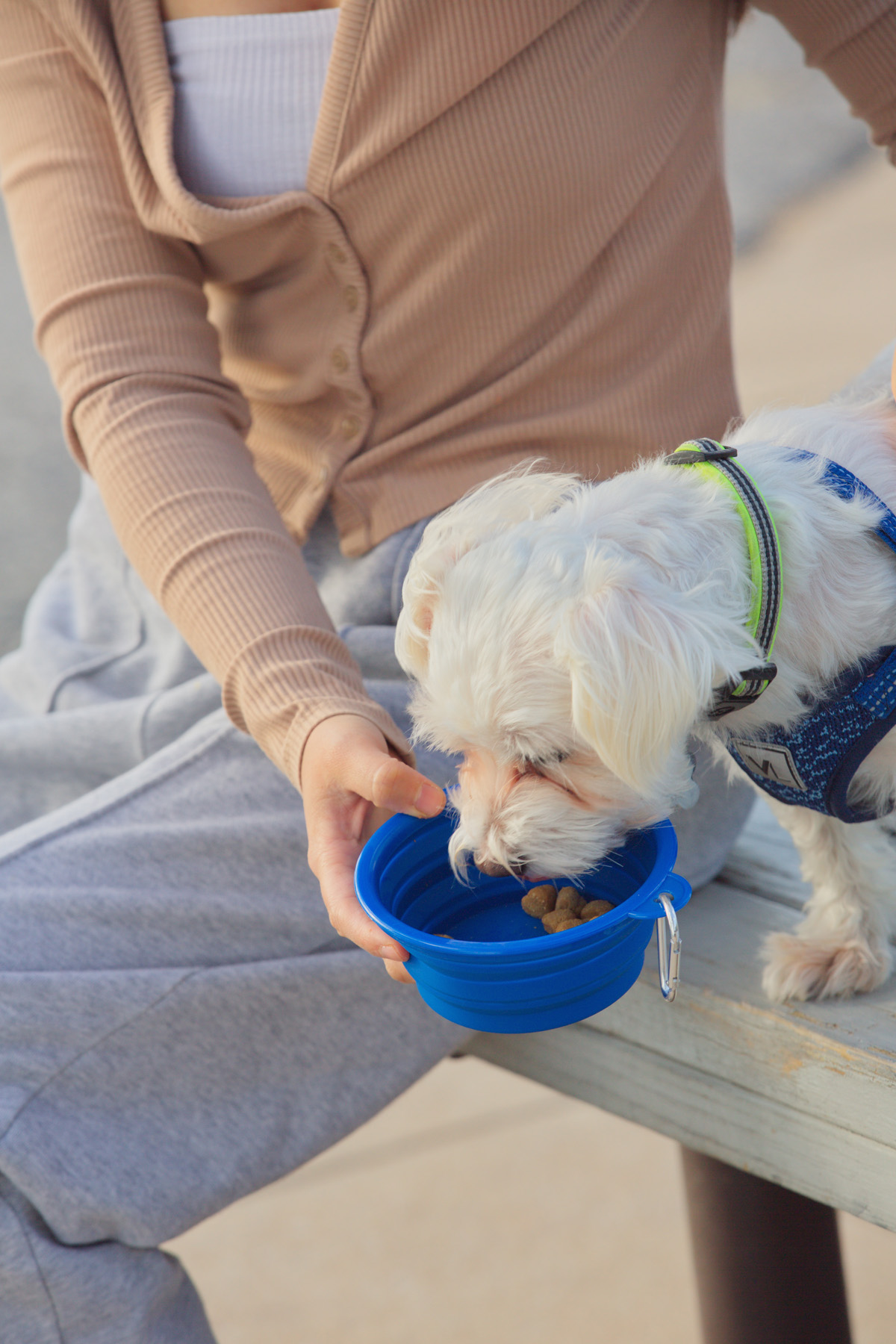 Feed 'N Go Collapsible Pet Bowl with Carabiner 15