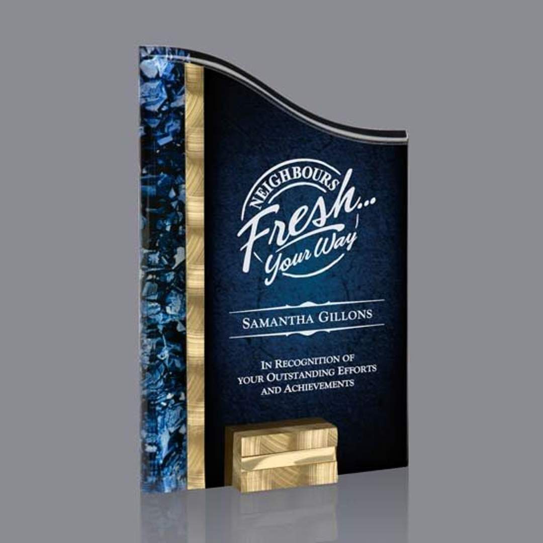 Ventura Award - Gold/Blue 3