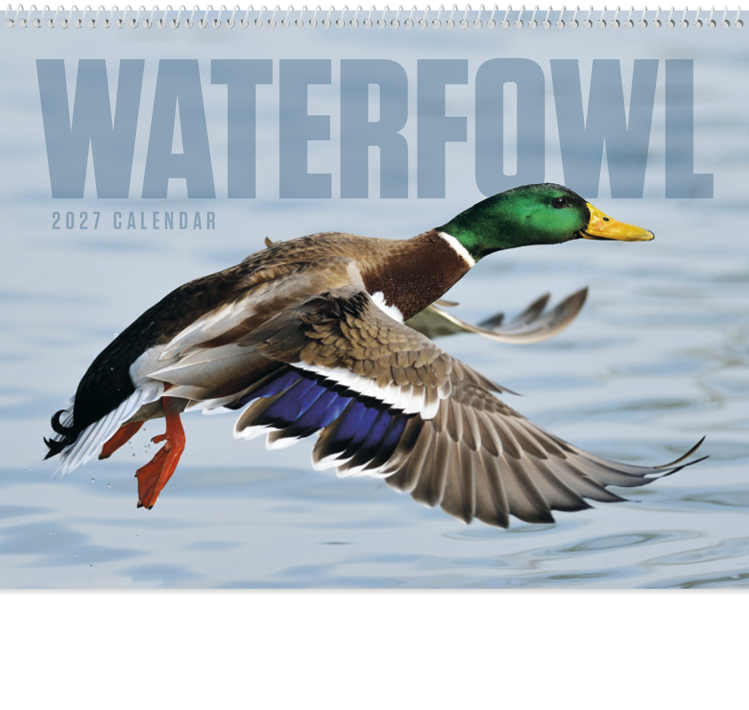 Good Value™ Waterfowl - Spiral Calendar 37