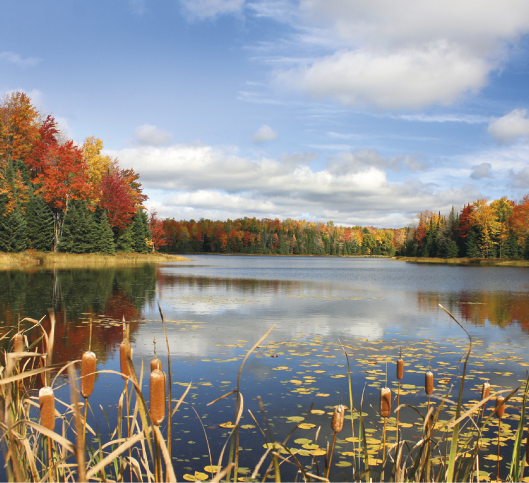Good Value™ Landscapes of America - Mini Calendar 68