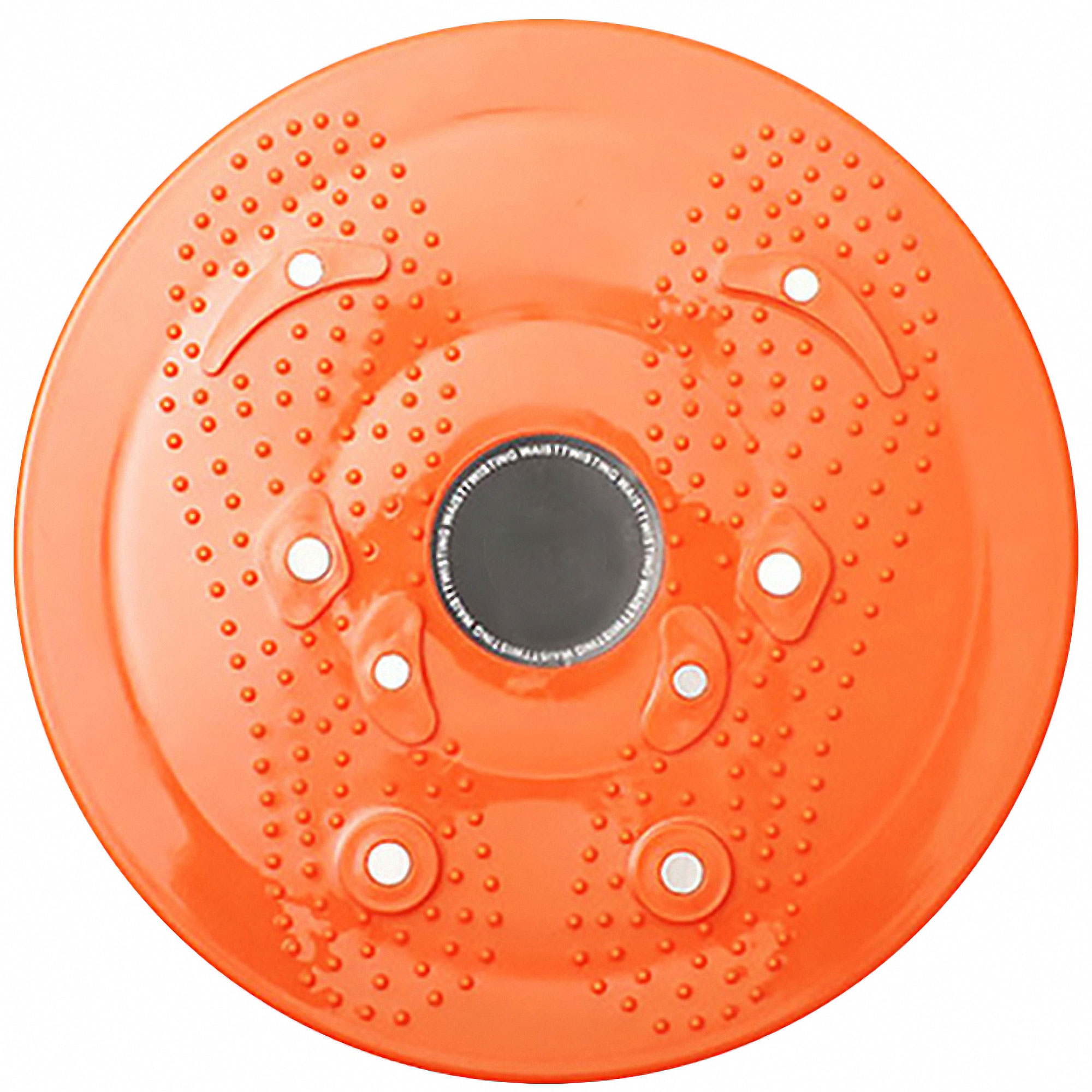 Ab Roller Waist Twisting Disc 2