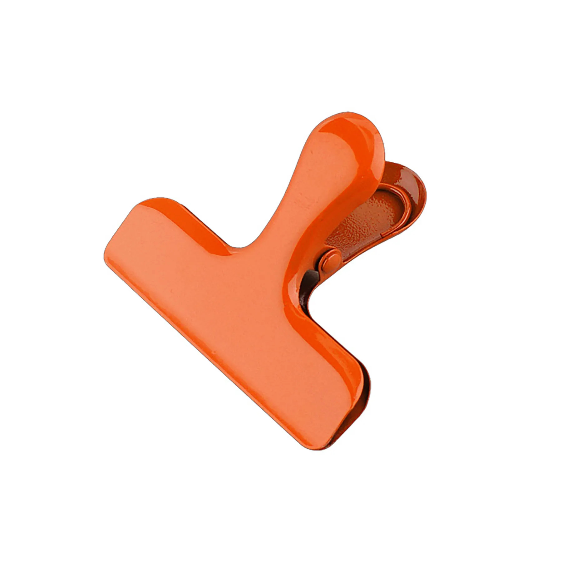 Stainless Steel  Clips 3