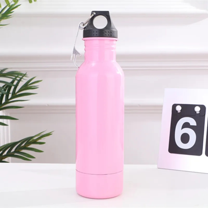 Stainless Steel Insulated Bottle 1
