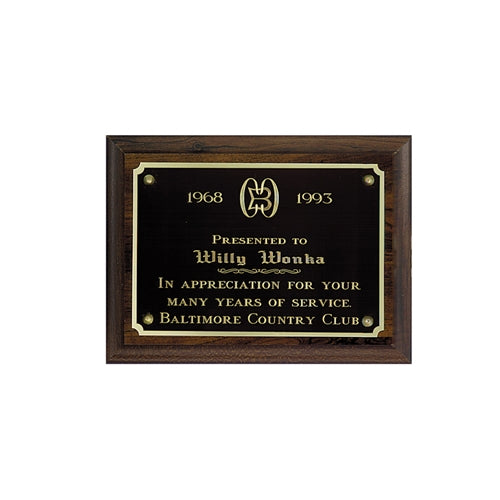 Simulated  Plaque 2