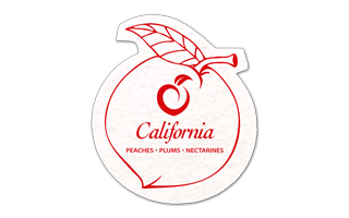 Peach Shammy Coaster 14