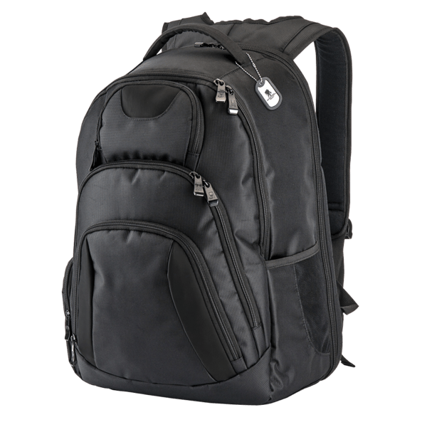 Basecamp Concourse Laptop Backpack 24