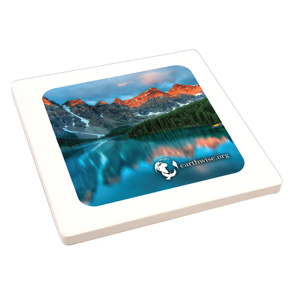 Sandstone UV Coasters 10