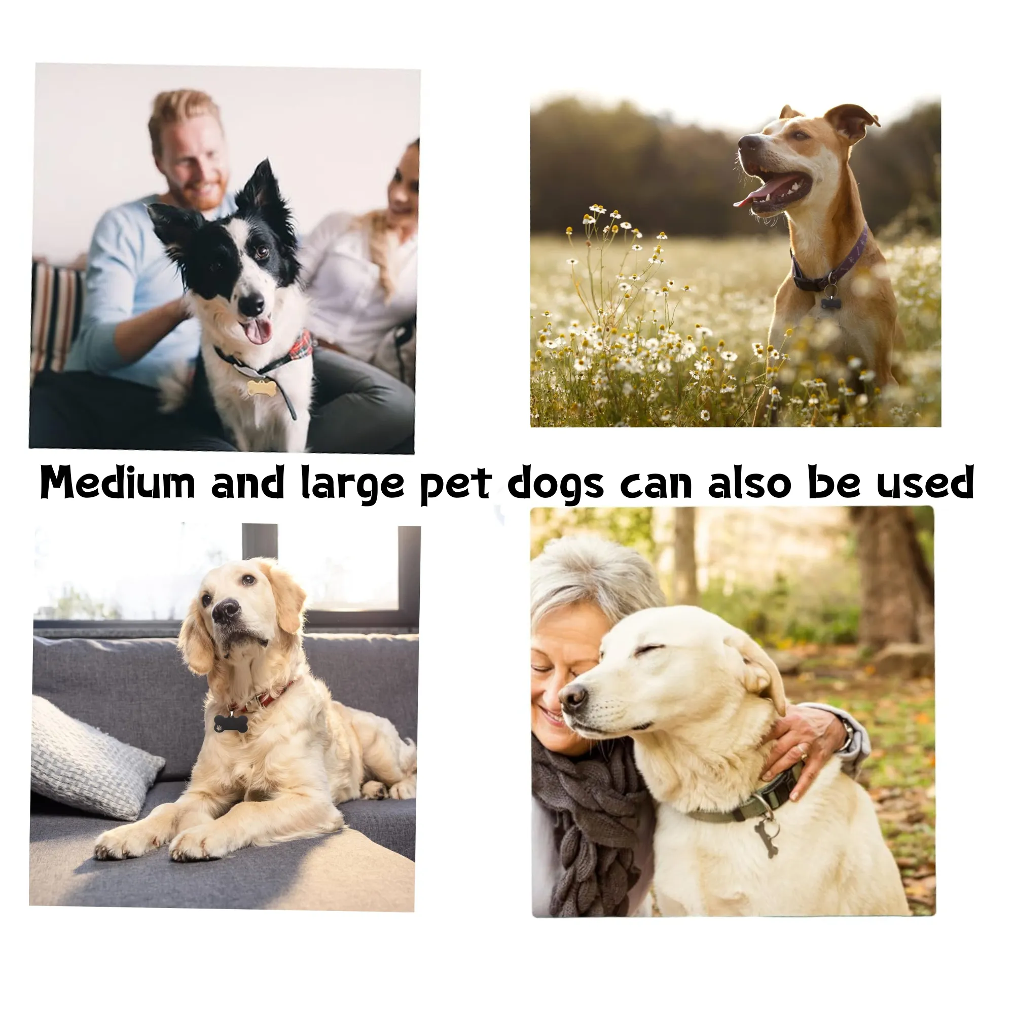 Durable and PetCollar Decoration Free Shipping 5