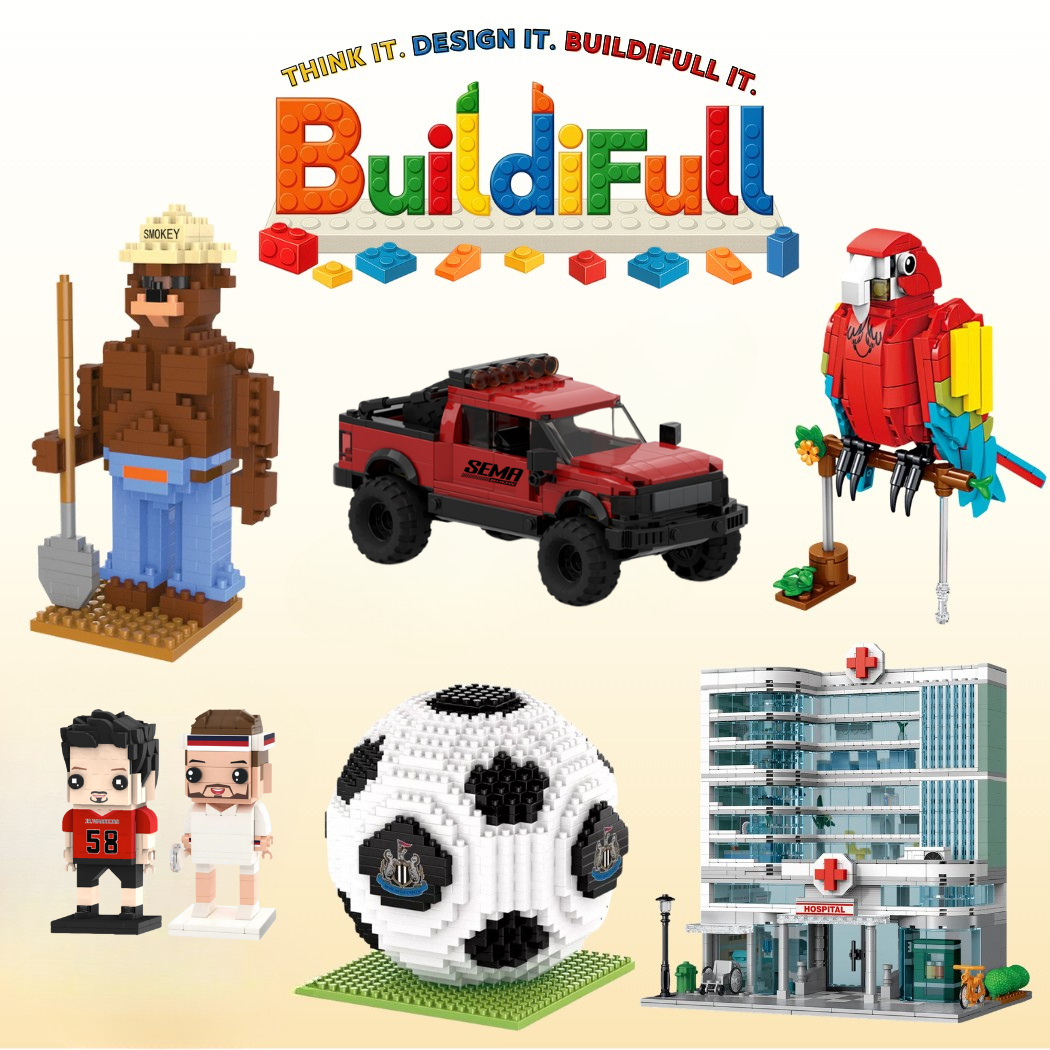 BuildiFull Custom Block Sets MOQ 100 3