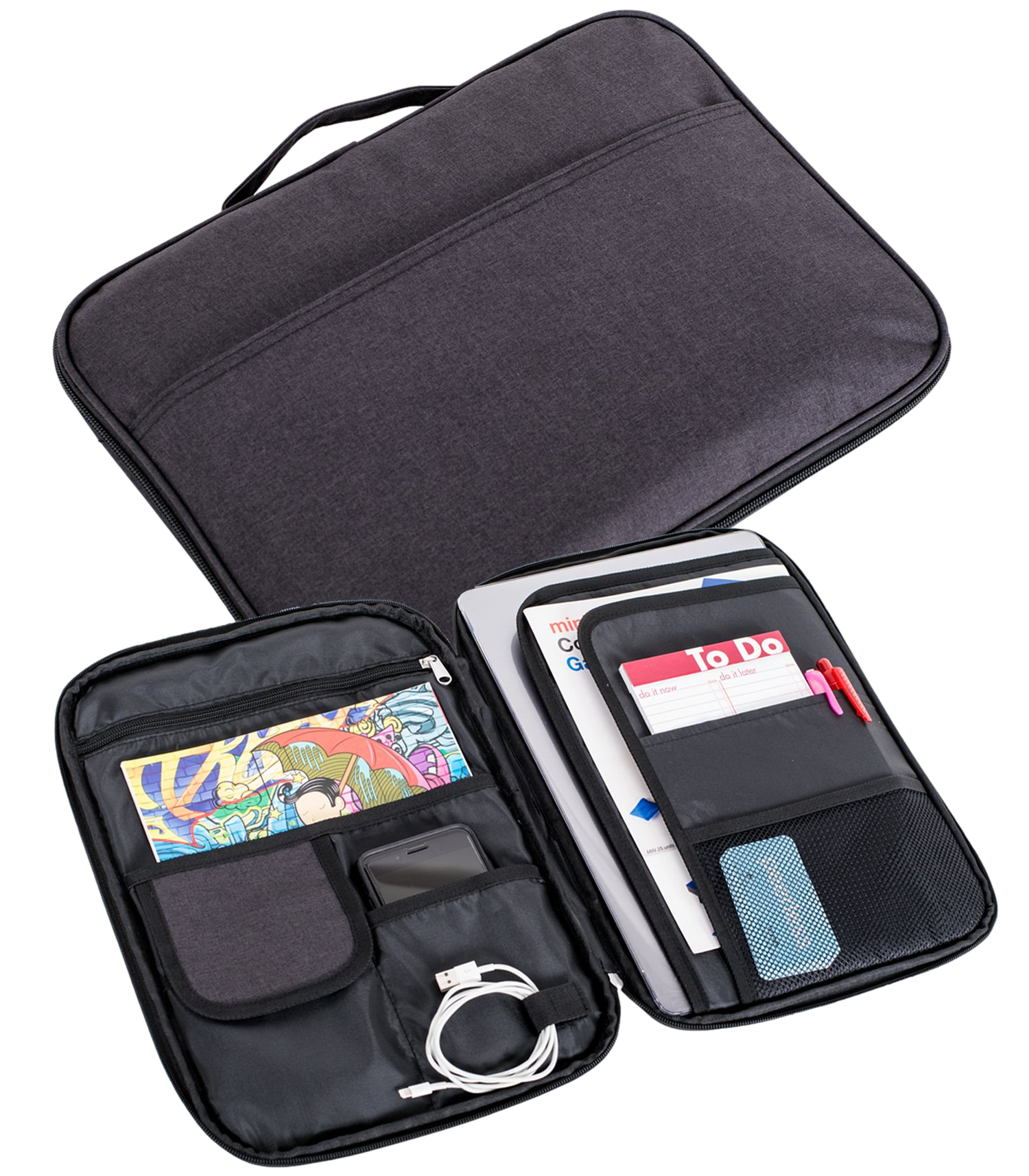 The Millennial Carrying Case 2